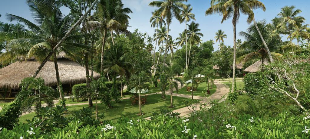 Carnoustie Ayurveda & Wellness Resort Alappuzha Dış mekan fotoğraf